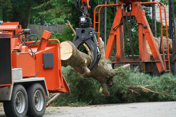 Best Lawn Grading and Leveling  in Greenock, PA